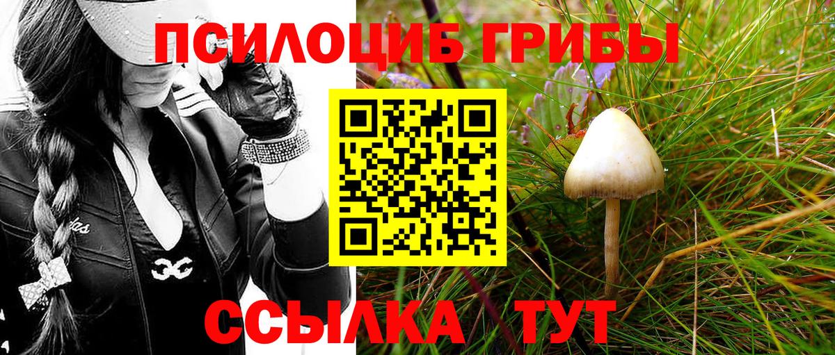 Галлюциногенные грибы Magic Shrooms  Вход с VPN  Вятские Поляны 